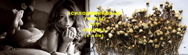 мяу мяу кристалл Елабуга
