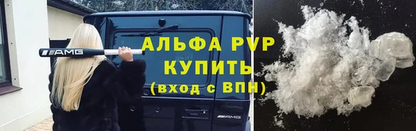 амф Елизово