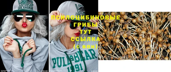 круглые Ельня