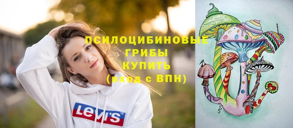 амф Елизово