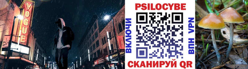 Галлюциногенные грибы прущие грибы  Купить где  Воткинск 